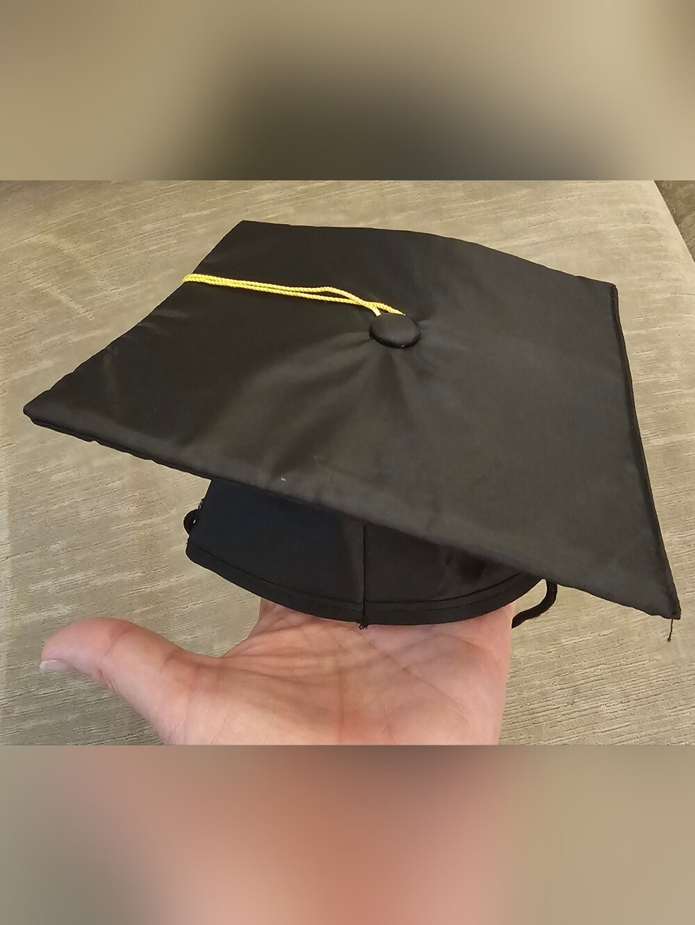 NWOT Pet Graduation Cap